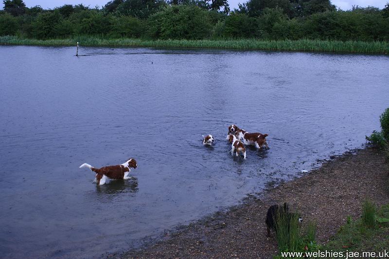 2009-07-19 23a04.jpg